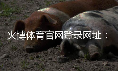 火博体育官网登录网址:赛事精彩纷呈