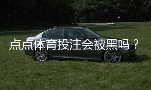 点点体育投注会被黑吗?平台安全性真实分析与防骗防护全攻略