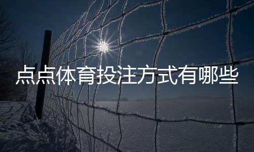 点点体育投注方式有哪些？新手入门、投注玩法与渠道全面解析