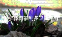 熊猫体育福利多吗？注册送礼、返水与优惠活动一次看懂