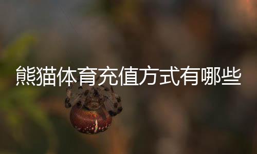 熊猫体育充值方式有哪些？新手必看支付渠道、充值流程与安全注意事项