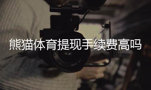 熊猫体育提现手续费高吗?最新费率解析与省钱攻略