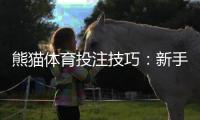 熊猫体育投注技巧：新手必看实战策略、投注技巧与资金管理