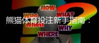 熊猫体育投注新手指南：注册、充值、投注与安全全解析