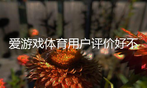 爱游戏体育用户评价好不好？真实口碑与使用体验全面解析