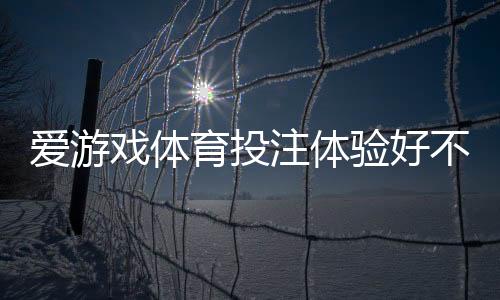 爱游戏体育投注体验好不好？2026全面评测：界面、赔率、客服与提现解析