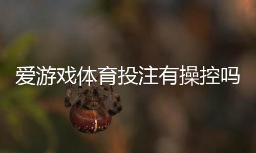 爱游戏体育投注有操控吗?真相调查与防骗维权指南