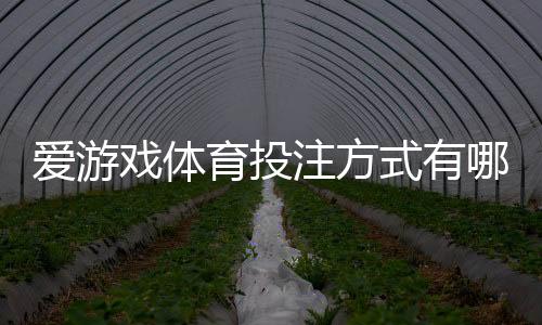 爱游戏体育投注方式有哪些?完整玩法分类与新手投注攻略