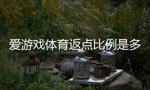 爱游戏体育返点比例是多少?最新返点规则与计算方法详解