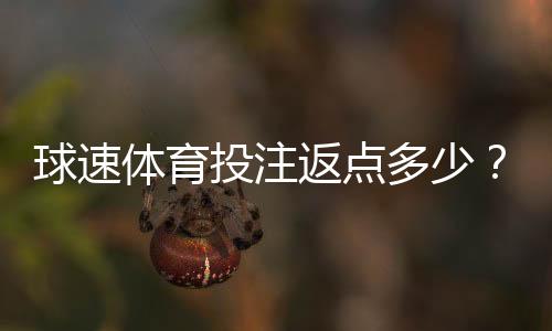 球速体育投注返点多少?揭秘高返点活动与实战技巧