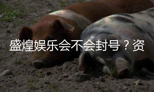 盛煌娱乐会不会封号？资深玩家揭秘账号安全与防封技巧