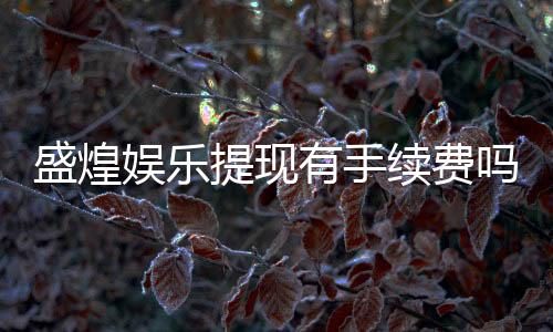 盛煌娱乐提现有手续费吗?全面解析手续费标准与到账时间