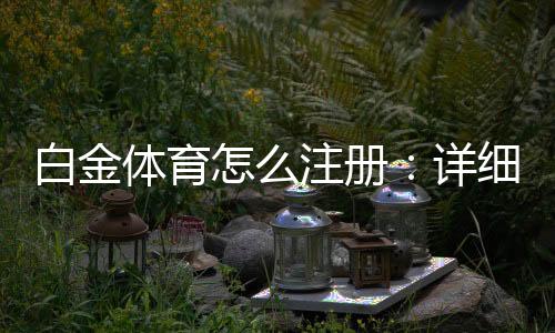白金体育怎么注册:详细步骤分享