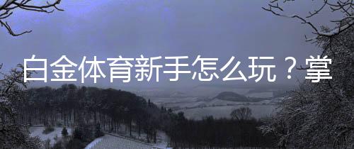 白金体育新手怎么玩?掌握技巧游刃有余