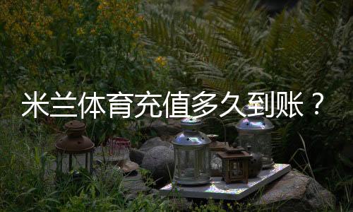 米兰体育充值多久到账?到账时间解析、常见延迟原因与快速解决办法