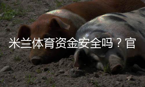 米兰体育资金安全吗?官方资质、风控与提现流程全面评估