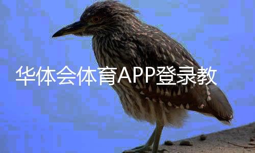 华体会体育APP登录教程:快速下载、注册与常见问题全解