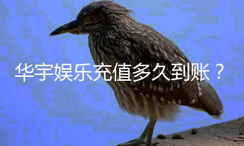 华宇娱乐充值多久到账？到账时间与充值方式全解析