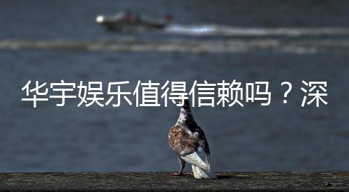 华宇娱乐值得信赖吗？深度解析其平台安全性与玩家口碑