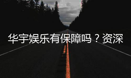华宇娱乐有保障吗?资深玩家揭秘平台安全性与游戏体验