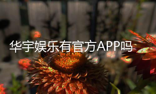 华宇娱乐有官方APP吗?一文详解下载安装与使用指南