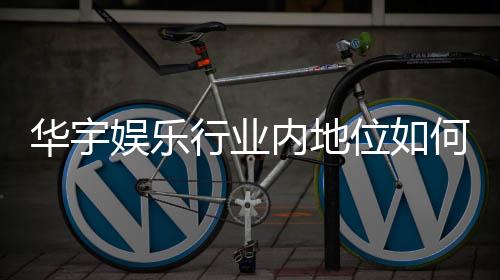 华宇娱乐行业内地位如何？深度解析其市场影响力与玩家口碑