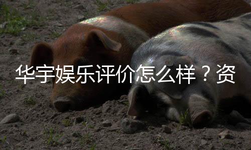 华宇娱乐评价怎么样？资深玩家真实体验分享