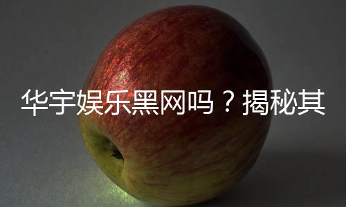 华宇娱乐黑网吗?揭秘其真伪与玩家安全攻略