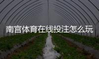 南宫体育在线投注怎么玩？新手必看玩法规则与安全上手指南