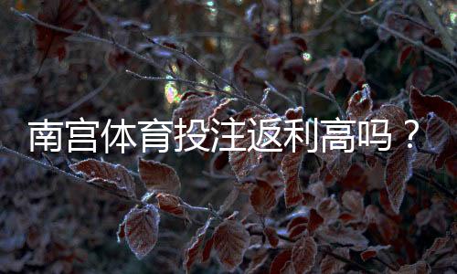南宫体育投注返利高吗?真实返利率解析、计算方法与领取提现攻略