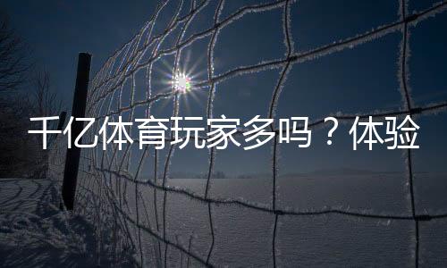 千亿体育玩家多吗？体验分享