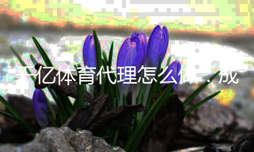千亿体育代理怎么做：成功经验分享