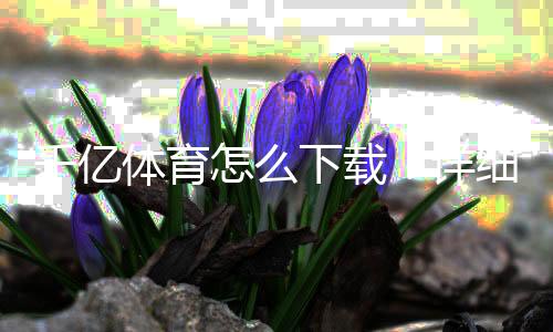千亿体育怎么下载：详细步骤分享