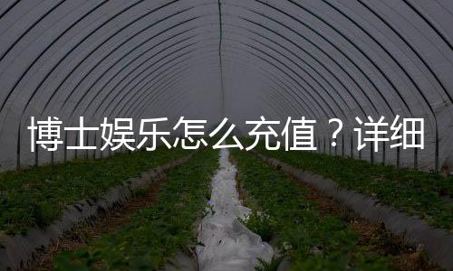 博士娱乐怎么充值?详细步骤与到账时间解析