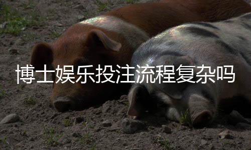 博士娱乐投注流程复杂吗?资深玩家3分钟带你轻松上手