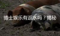 博士娱乐有返水吗？揭秘返水规则与高返利技巧
