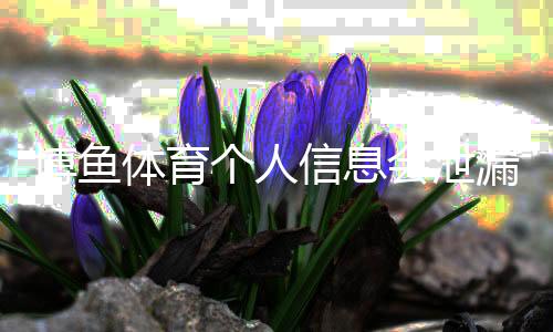 博鱼体育个人信息会泄漏吗？隐私风险详解与防护攻略