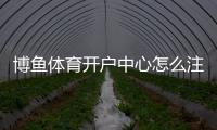 博鱼体育开户中心怎么注册？新手开户流程、优惠与安全注意事项详解