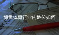 博鱼体育行业内地位如何？一文看懂市场份额、竞争优势与发展前景