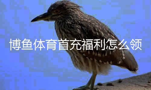 博鱼体育首充福利怎么领?最新领取攻略、优惠规则与注意事项