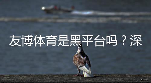 友博体育是黑平台吗？深度评测与真实用户投诉分析