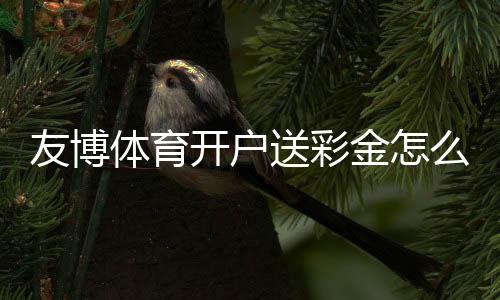 友博体育开户送彩金怎么玩?领取流程、优惠规则与风险提示