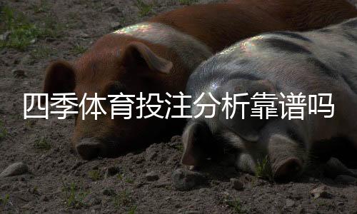 四季体育投注分析靠谱吗?实测评估与用户口碑全解析