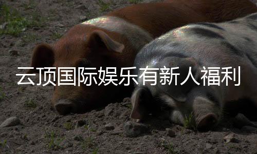 云顶国际娱乐有新人福利吗?新会员注册即享多重豪礼!