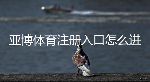 亚博体育注册入口怎么进?新手注册流程与安全技巧一看就懂