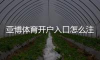 亚博体育开户入口怎么注册？新手一步步开户教程与常见问题解答
