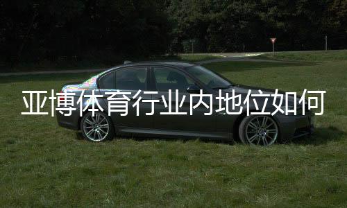 亚博体育行业内地位如何?2026最新市场份额、竞争力与发展前景深度解析