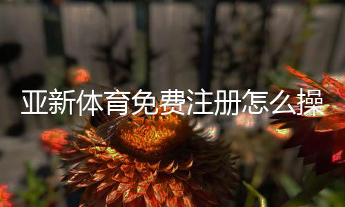 亚新体育免费注册怎么操作？新手一步步注册教程与优惠领取攻略