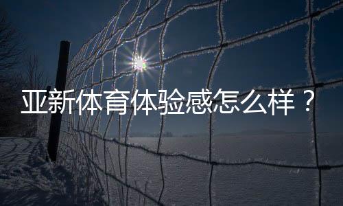 亚新体育体验感怎么样?真实用户评测与优缺点全面解析