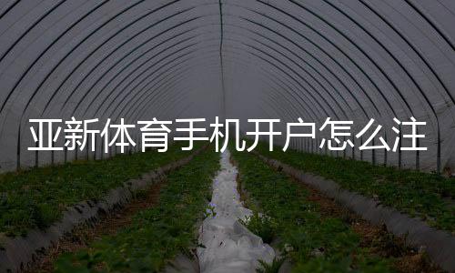 亚新体育手机开户怎么注册?新手图文教程、验证流程与常见问题详解